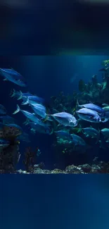 Underwater aquarium scene with various fish