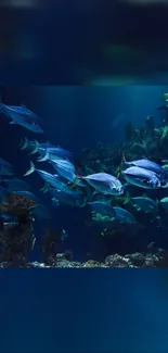 Vibrant fish swimming in a coral reef underwater scene.