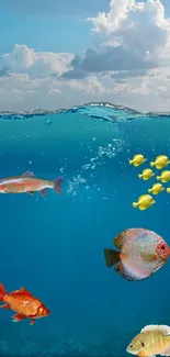 Underwater view with colorful fish and clear blue ocean.