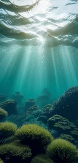 Underwater ocean scene with sunlight rays penetrating the water, featuring coral reefs.