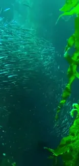 Vibrant green seaweed with fish in underwater scene.