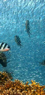 Vibrant underwater scene with coral and fish.