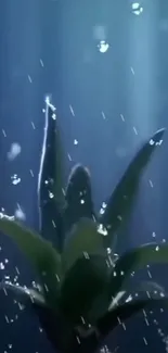 Underwater plant with droplets in a dark blue background.