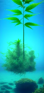 Serene underwater plant against vibrant blue backdrop.