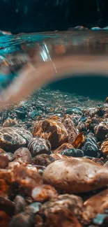 Underwater river scene with colorful stones.