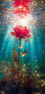 Underwater rose with sun rays illuminating the scene, featuring golden leaves and turquoise water.