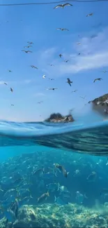 Underwater seascape with blue waters, fish, and seagulls in the sky.