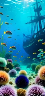 Underwater shipwreck with colorful marine life.