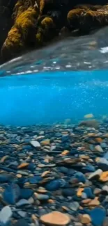 Underwater view of rocky shore with bright blue water and pebbles.