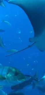 Underwater scene with a stingray and fish in a blue ocean setting.