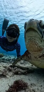 Diver with sea turtle underwater, capturing a unique ocean moment.