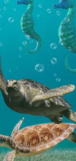 Turtles and seahorses swimming underwater in turquoise ocean.