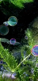 Vibrant underwater scene with fish, plants, and bubbles.