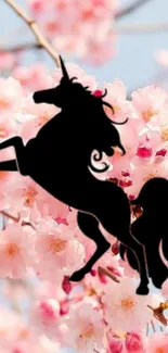 Silhouette of unicorn on cherry blossom background.