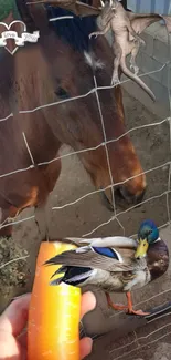 Horse and duck with carrot in hand, fantasy-themed farm wallpaper.