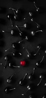 Black background with one red cherry.