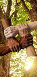 Hands of different skin tones united against a forest background.