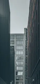 Modern urban alley with tall buildings and sky.