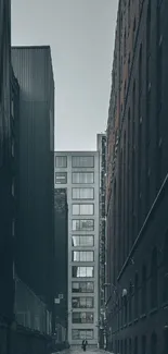 Gray city alleyway with towering buildings and soft sky.