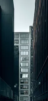 A moody urban alleyway with tall buildings in a cityscape.