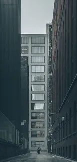 Urban alleyway with modern buildings displaying architectural beauty.