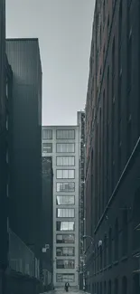 Moody urban alleyway scene with tall buildings.