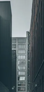 Moody urban alleyway with towering buildings.