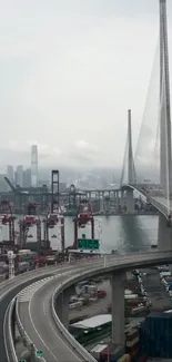 Urban bridge and city skyline under gray sky.