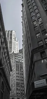 Monochrome urban skyline with tall buildings.