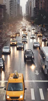 Evening city traffic scene with cars on wet roads and glowing streetlights.