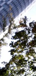 Urban skyscraper with tree canopy and blue sky.