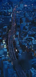 A deep blue cityscape with illuminated buildings at night.