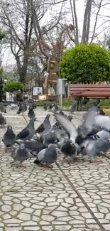 Flock of pigeons in a city park setting with trees and benches.