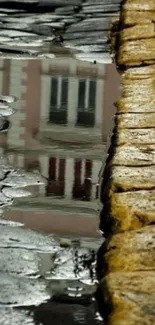 Building reflection on wet cobblestones.