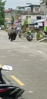 Rhino running in urban street setting with town buildings.