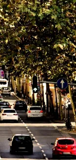 Urban road with cars beneath lush autumn trees.