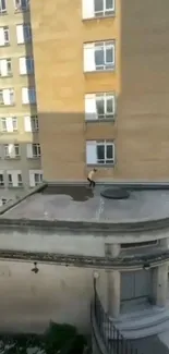 Dynamic view of a person on a city rooftop.