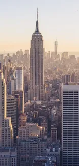 Sunset view of New York City skyline with iconic skyscrapers and urban landscape.