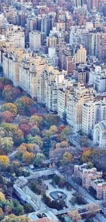 Aerial view of city skyline and park in autumn hues.