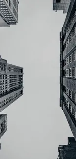 Monochrome view of urban skyscrapers against the sky.
