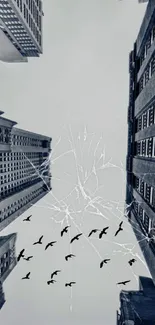 Urban skyline with silhouetted birds and cracked glass effect.