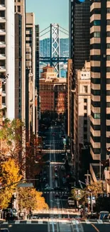 City skyline with bridge view on a sunny day.