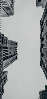 Gray urban skyscraper cityscape wallpaper.