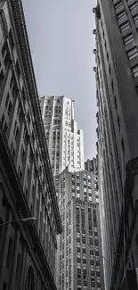 Monochrome view of urban skyscrapers against a grey sky.