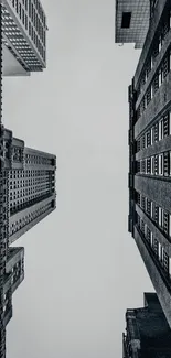 Urban skyscraper skyline with gray sky.