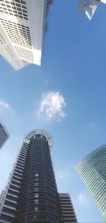 Perspective view of skyscrapers meeting the clear blue sky.