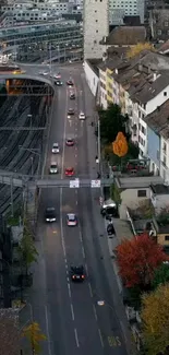 Urban street view with cars and autumn trees in cityscape.