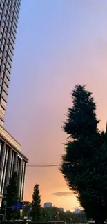 Urban sunset between high-rise buildings with vibrant orange sky.