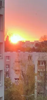 Beautiful coral sunset over urban landscape.