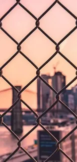 Urban sunset view through chain-link fence.